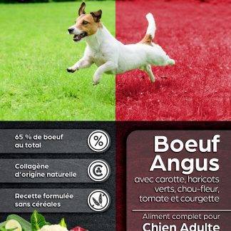 Chien adulte - Petite race - Bœuf Angus avec carotte, haricots verts, chou-fleur, tomate et courgette