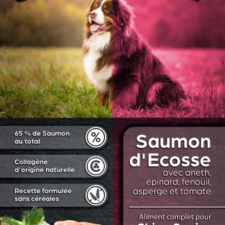Chien adulte - Light - Saumon d’Ecosse avec aneth, épinard, fenouil, asperge et tomate - 12 kgs