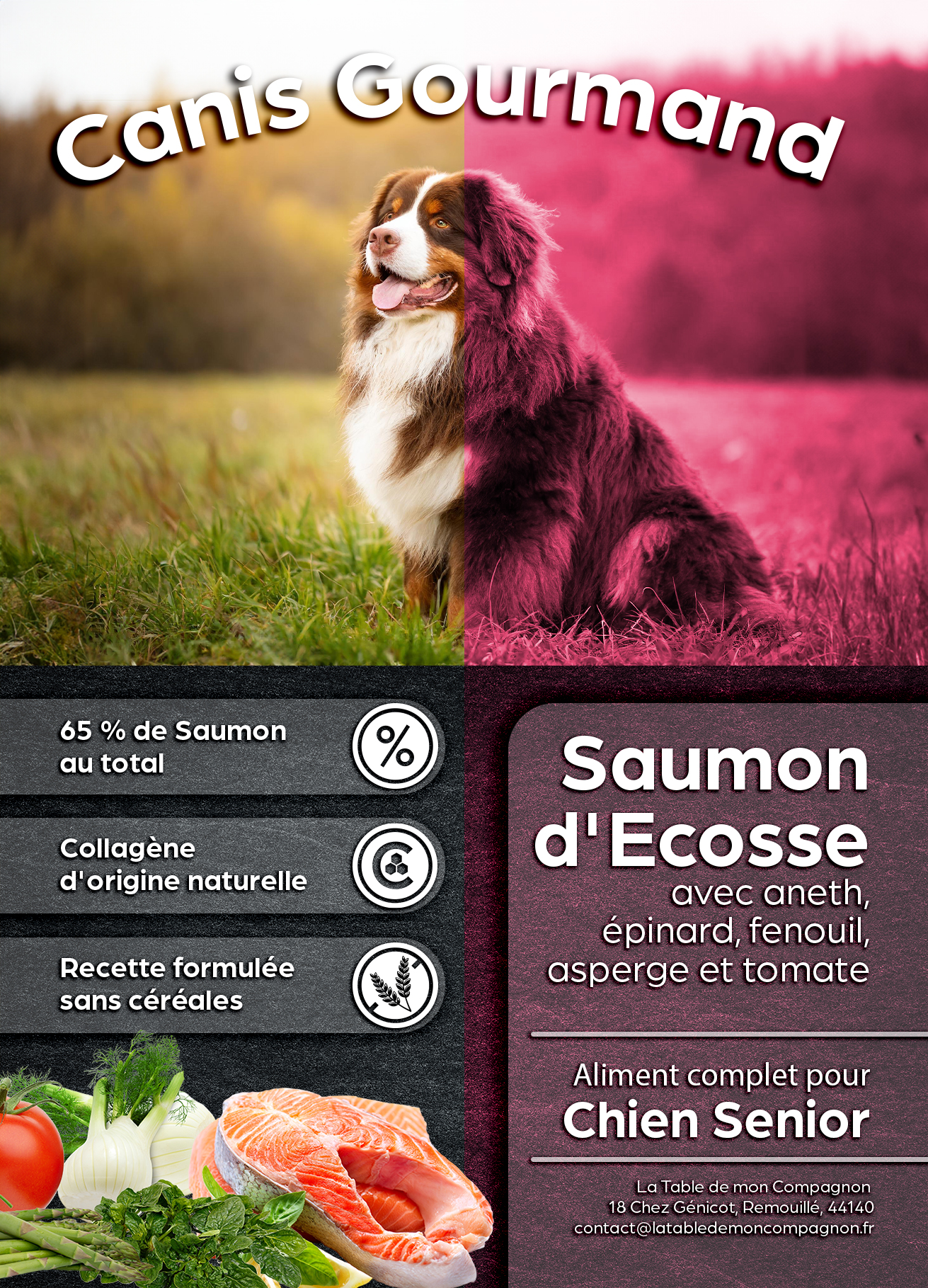 Chien adulte - Light - Saumon d’Ecosse avec aneth, épinard, fenouil, asperge et tomate - 12 kgs