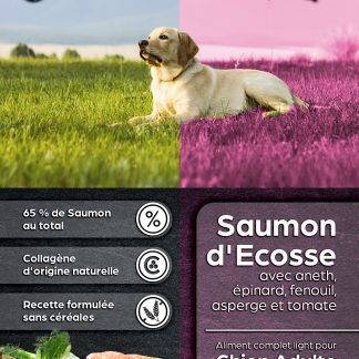 Chien adulte - Light - Saumon d’Ecosse avec aneth, épinard, fenouil, asperge et tomate - 12 kgs