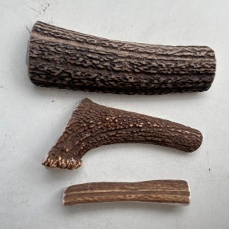Bois de cerf tranché