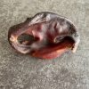 Groins de porc – Image 3