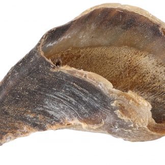Sabot de vache
