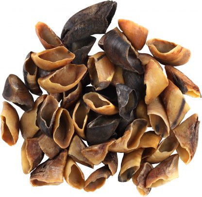 Sabot de vache – Image 2