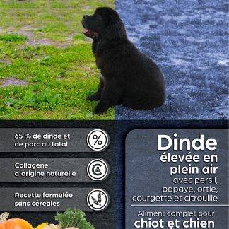 Chiot - Dinde élevée en plein air avec persil, papaye, ortie, courgette et citrouille