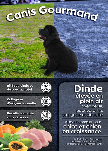 Chiot - Dinde élevée en plein air avec persil, papaye, ortie, courgette et citrouille