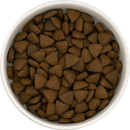 Chien adulte - Dinde élevée en plein air - 12 kgs – Image 3