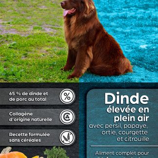 Chien adulte - Dinde élevée en plein air - 12 kgs